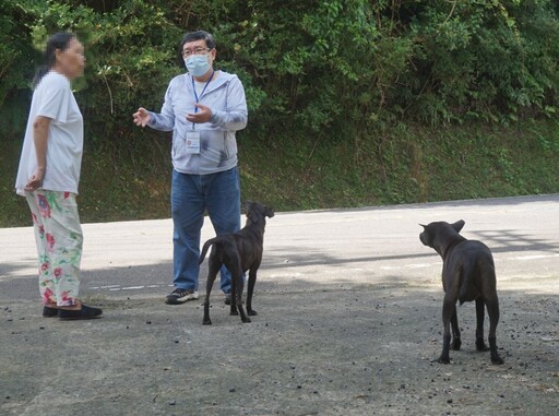 清查遊蕩犬 新北東北角數量已獲控制