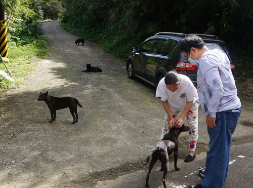 清查遊蕩犬 新北東北角數量已獲控制