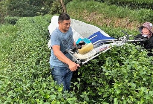 科技管理北部農糧組唯一 新北茶農蔡旭志榮獲全國模範農民