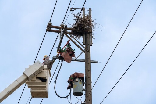 春雷驚蟄宣誓 台電北西區處穩定供電再升級