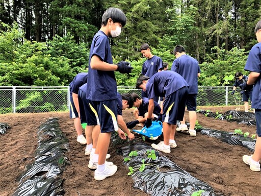 跨國共享新體驗 新北食農教育臺日交流