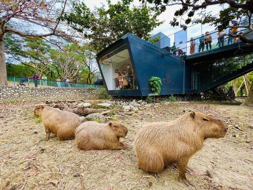 台灣觀光100亮點 3月主打星「高雄」強勢登場 五大觀光亮點集章打卡抽 iPhone16