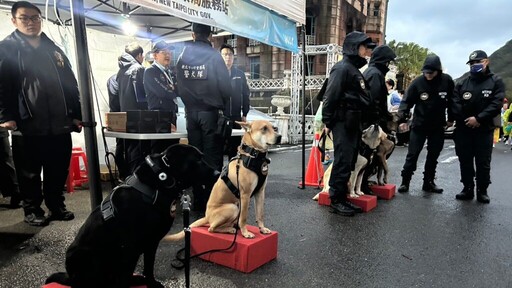 萬金石熱血開跑 新北警角色扮演宣導識詐 超萌警犬也現身