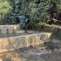 提升防洪排洪能力 中市水利局加強野溪、滯洪池汛前清疏維護