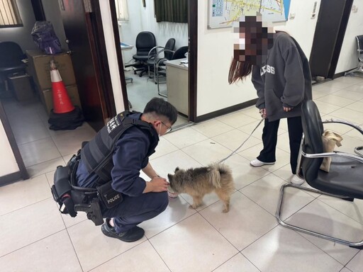 毛寶貝路邊遊蕩 三重警智掃晶片找回飼主