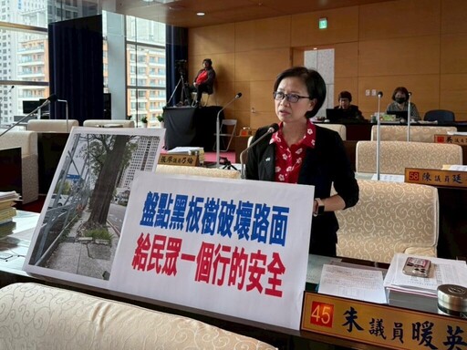 黑板樹浮根破壞路面礙通行安全 朱暖英要求中市府盤點處理