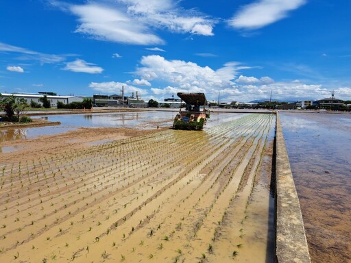 台肥開發液態型緩釋肥 台灣精準農業注入全新動能