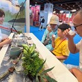 參山處插旗2025 TTE 主打竹竹苗遊程國旅最佳選擇