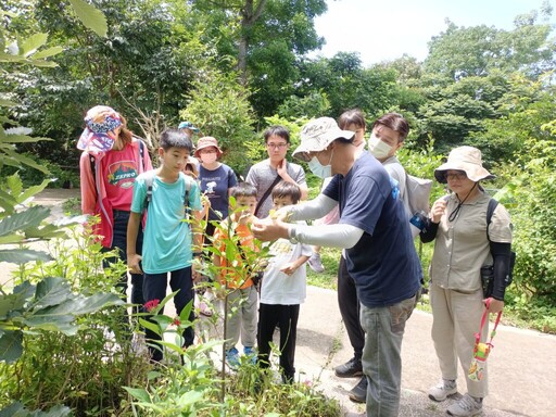 大坑蝶螢嘉年華「蝶」起國際友誼 吸引日本博士生親證台灣紫斑蝶魅力