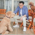 榮獲首屆全國議員動保貢獻獎 竹市議長許修睿力推「人寵共生」城市