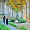 遠眺海線地區美景 中市沙鹿霞光步道完工啟用