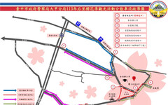 「泰安櫻花季」25日開跑 周遭交通管制措施