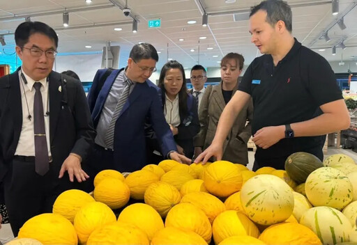 台南鳳梨進軍荷蘭外銷版圖再添歐洲