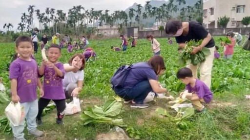 迎白玉蘿蔔季！美濃客家庄開放預約鄉土體驗