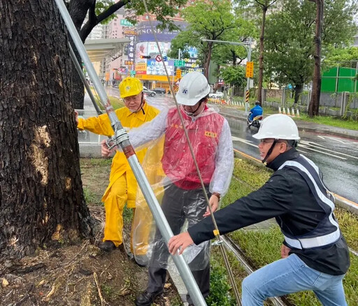 風雨無阻 吳嘉昌檢視輕軌車站與雨豆樹加固