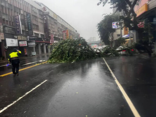 山陀兒強風吹倒高雄路樹及號誌桿 無人傷亡