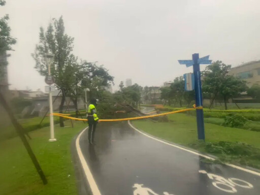 山陀兒強風吹倒高雄路樹及號誌桿 無人傷亡