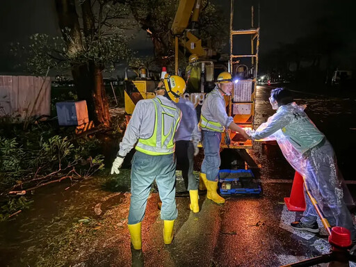 颱風過後林岱樺盼政院啟動災後補助