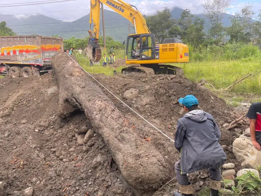 趁凱米襲台山老鼠盜取漂流櫸木遭逮