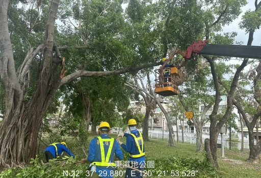 康芮來襲 高市公園處提醒車輛不要停路樹下