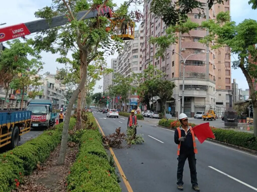 康芮來襲 高市公園處提醒車輛不要停路樹下