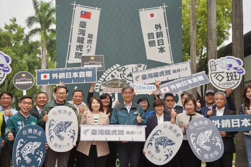 經八年努力 屏東龍虎斑首度外銷日本