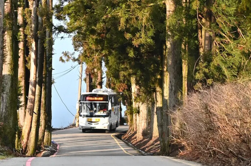 武陵櫻花季延長管制 交通局：搭公車很便利