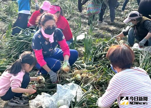 台電大林與南部發電廠共辦親子摘洋蔥趣活動