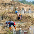 中市府超前部署防公墓火警 掃墓祭袓不燒墓