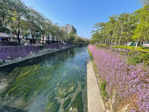 紫色浪漫滿綠川 中市府邀您賞春日花海秘境