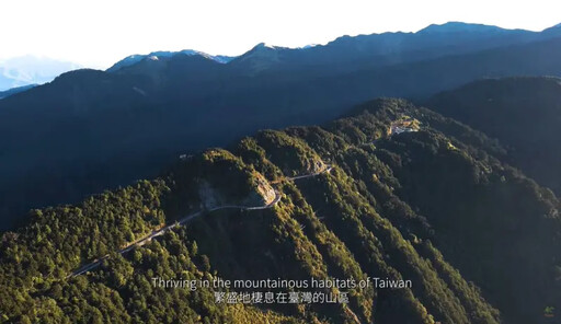 Birding in Taiwan 獲日本觀光電影節金獎