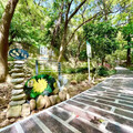 賞花正是時候 大甲鐵砧山新景點桂花泉步道
