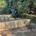 提升中市野溪排洪能力 水利局加強清疏作業