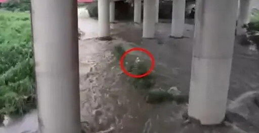 暴雨狂炸台中!釣客困沙洲.消防隊空降救援