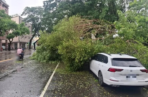 路樹傾倒!楠梓天氣突變 2車遭砸畫面曝光