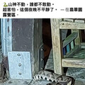 露營巧遇「山神」！夏天上山避暑別忽略蛇蹤