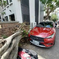 又一起倒塌意外！台中路樹橫躺馬路中央