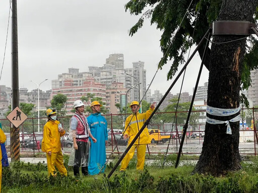 風雨強襲高雄輕軌 吳嘉昌視察「綠色隧道」