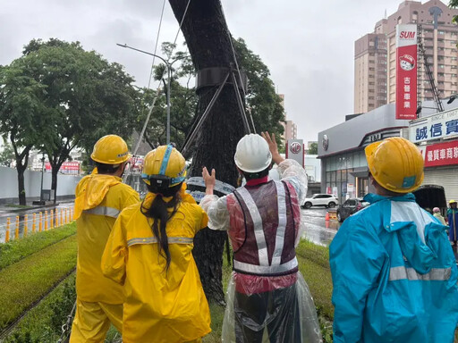 風雨強襲高雄輕軌 吳嘉昌視察「綠色隧道」
