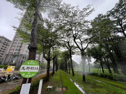 風雨強襲高雄輕軌 吳嘉昌視察「綠色隧道」