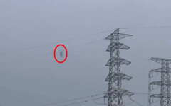 移工高壓電塔吊死！高大成研判：他殺機率低