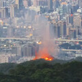 為和芒草拍照 20歲男爬電塔觸電、釀火燒山