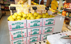 黃偉哲赴新加坡推廣優質文旦柚