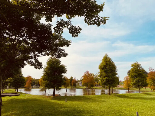 后里環保公園「雙重美景」吸引人潮打卡拍照