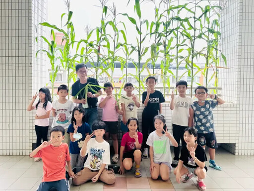 新上國小教室小農 玉米長成天然遮陽窗簾