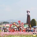 花海再現 台中花毯節回歸 人氣打卡點到齊