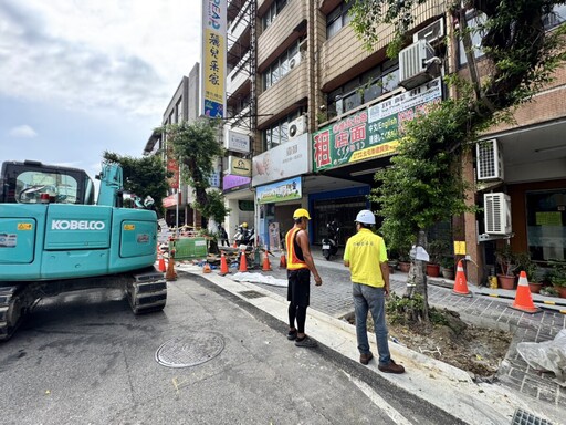 友善樹木守護生態 中市府攜手護樹團體共創安全綠意街景