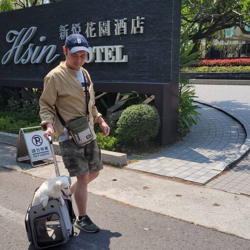嘉義市知名酒店邀9月來嘉享欒樹花海浪漫 「你住宿，我請客」小確幸