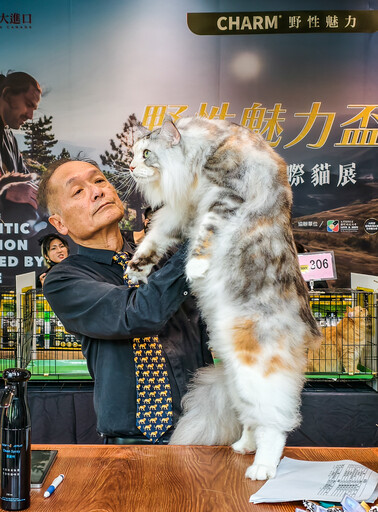 野性魅力盃國際貓展高雄登場