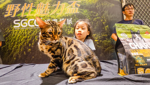 野性魅力盃國際貓展高雄登場
